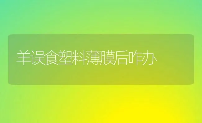 羊误食塑料薄膜后咋办 | 家畜养殖