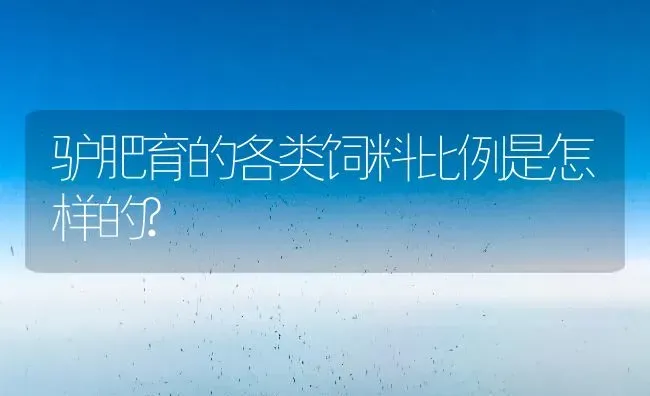 驴肥育的各类饲料比例是怎样的? | 动物养殖饲料