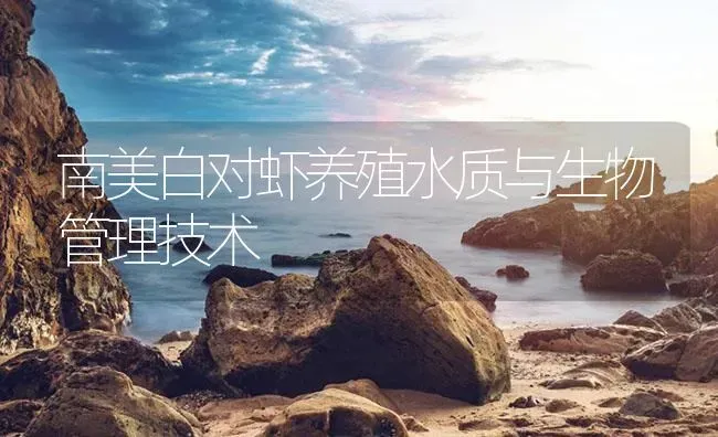 南美白对虾养殖水质与生物管理技术 | 海水养殖