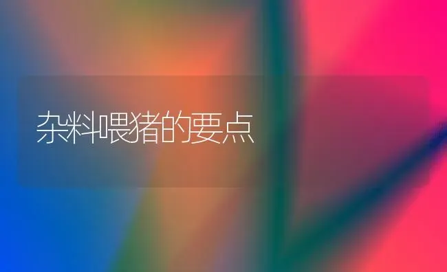 杂料喂猪的要点 | 家畜养殖