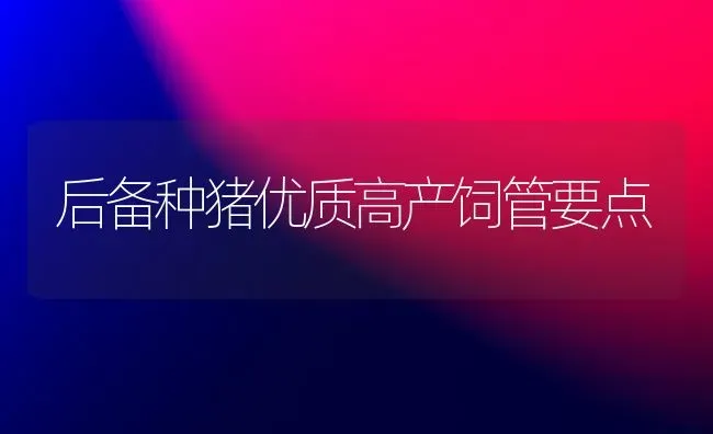 后备种猪优质高产饲管要点 | 家畜养殖
