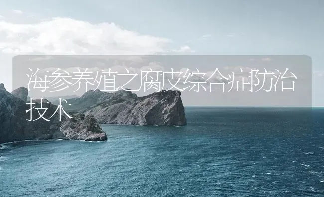 海参养殖之腐皮综合症防治技术 | 海水养殖