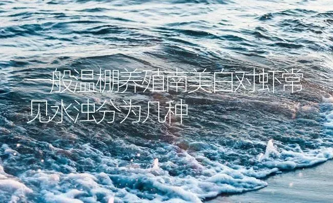 一般温棚养殖南美白对虾常见水浊分为几种 | 海水养殖