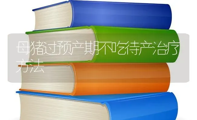 母猪过预产期不吃待产治疗方法 | 家畜养殖