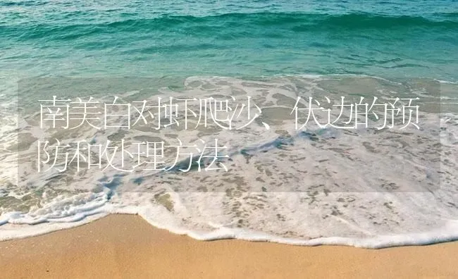 南美白对虾爬沙、伏边的预防和处理方法 | 海水养殖
