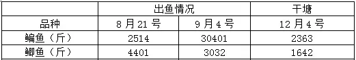 鳊鱼鲫鱼花鲢白鲢混养要想效益显著 核算饵料系数1.57
