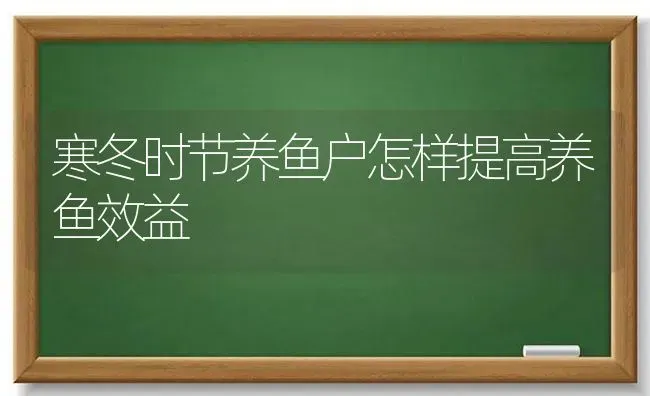 寒冬时节养鱼户怎样提高养鱼效益 | 动物养殖百科