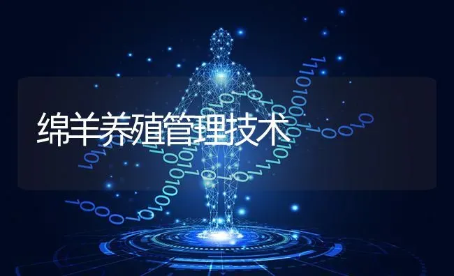 绵羊养殖管理技术 | 家畜养殖