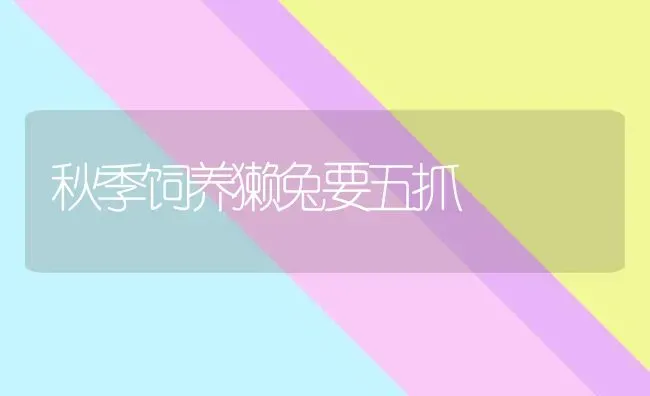 秋季饲养獭兔要五抓 | 家畜养殖