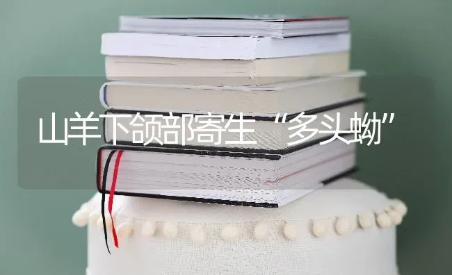 山羊下颌部寄生“多头蚴” | 家畜养殖
