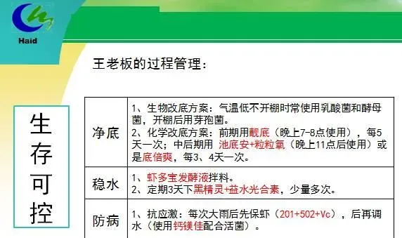 海南海口演丰镇、澄迈县桥头镇冬棚对虾养殖模式分享