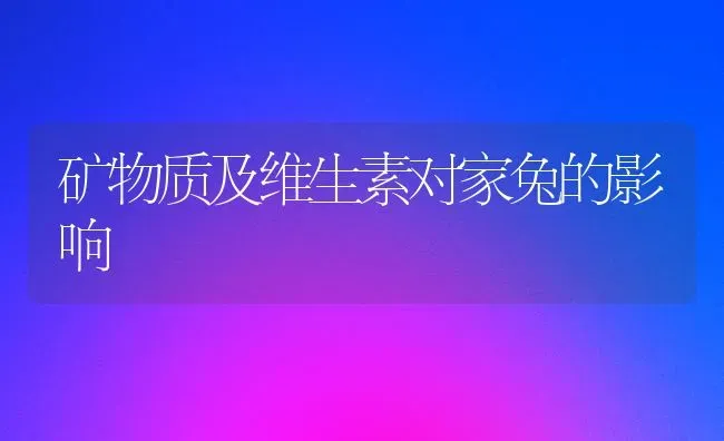 矿物质及维生素对家兔的影响 | 家畜养殖