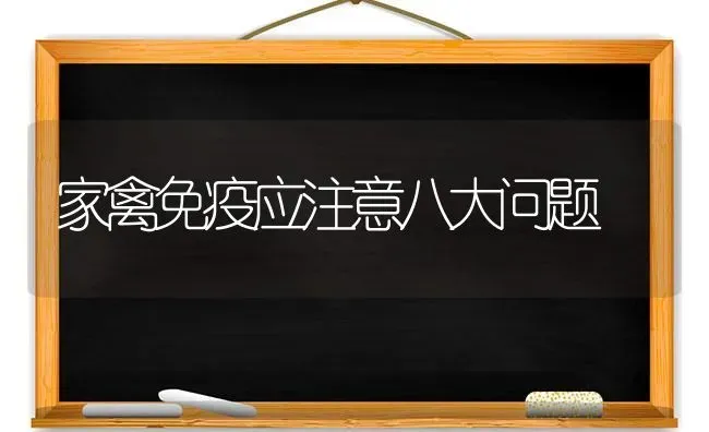 家禽免疫应注意八大问题 | 家禽养殖