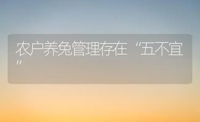 农户养兔管理存在“五不宜” | 家畜养殖