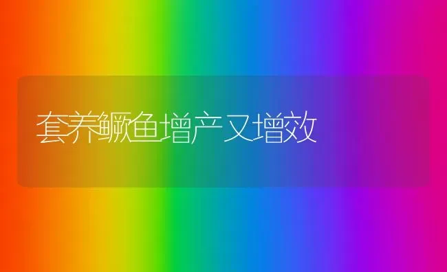 套养鳜鱼增产又增效 | 淡水养殖