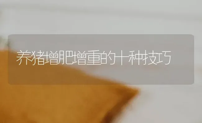 养猪增肥增重的十种技巧 | 家畜养殖