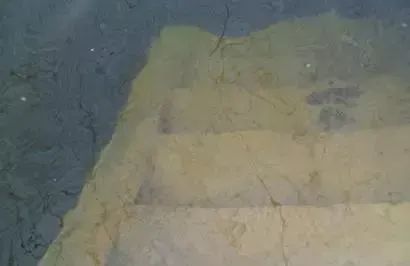 南美白对虾虾塘14种水色优劣判别与水质常见问题处理