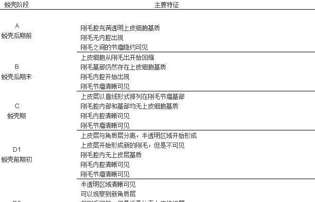 【外文翻译】对虾外壳：角质层与蜕壳周期