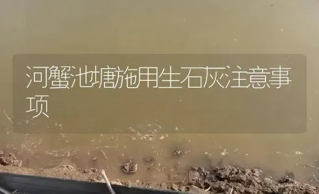 河蟹池塘施用生石灰注意事项 | 淡水养殖