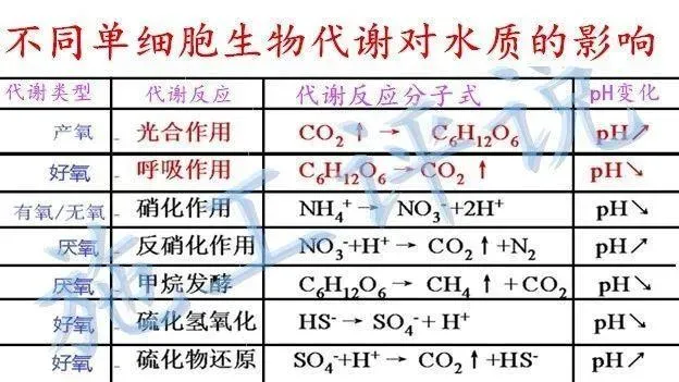 池塘理化条件决定了能否以菌抑菌和菌藻平衡