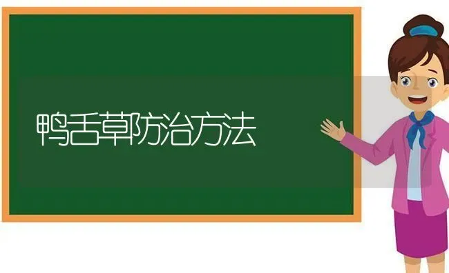 鸭舌草防治方法 | 家禽养殖