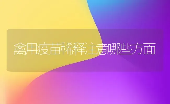 禽用疫苗稀释注意哪些方面 | 家禽养殖