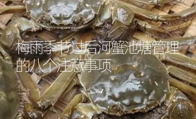 梅雨季节过后河蟹池塘管理的八个注意事项 | 淡水养殖