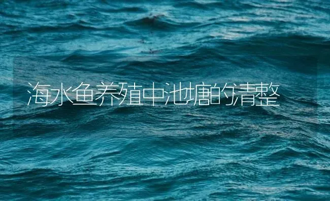 海水鱼养殖中池塘的清整 | 海水养殖