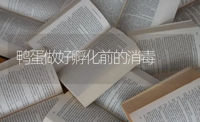 鸭蛋做好孵化前的消毒 | 家禽养殖