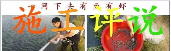 鱼虾混养科学是解决目前对虾养殖瓶颈手段？