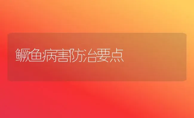 鳜鱼病害防治要点 | 淡水养殖