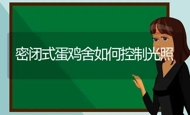 密闭式蛋鸡舍如何控制光照 | 家禽养殖