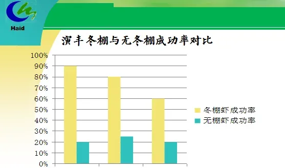 海南海口演丰镇、澄迈县桥头镇冬棚对虾养殖模式分享