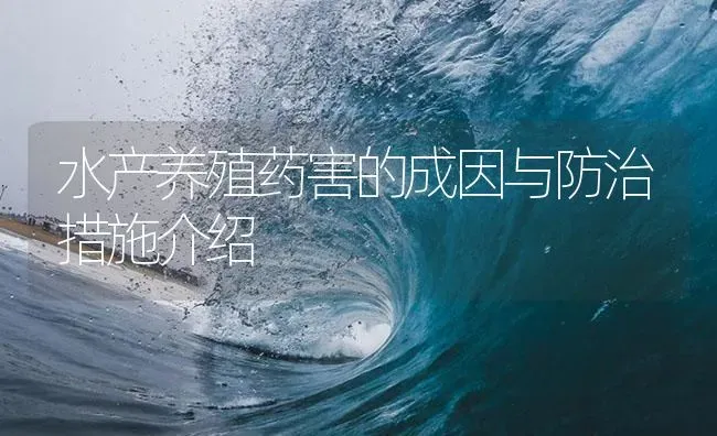 水产养殖药害的成因与防治措施介绍 | 养殖病虫害防治