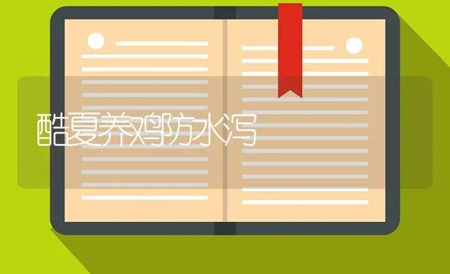 酷夏养鸡防水泻 | 家禽养殖