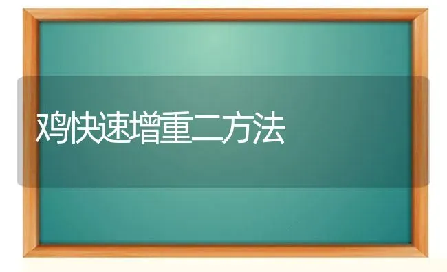 鸡快速增重二方法 | 家禽养殖