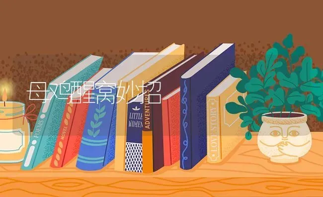 母鸡醒窝妙招 | 家禽养殖