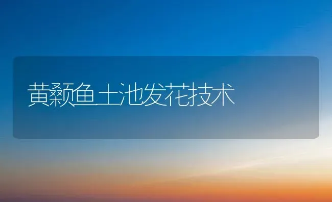 黄颡鱼土池发花技术 | 淡水养殖