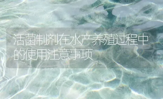 活菌制剂在水产养殖过程中的使用注意事项 | 动物养殖百科