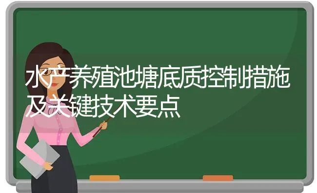 水产养殖池塘底质控制措施及关键技术要点 | 动物养殖百科