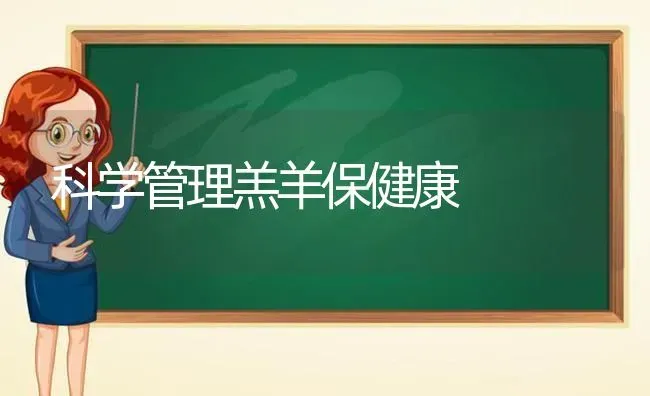 科学管理羔羊保健康 | 家畜养殖