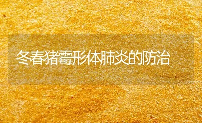 冬春猪霉形体肺炎的防治 | 家畜养殖