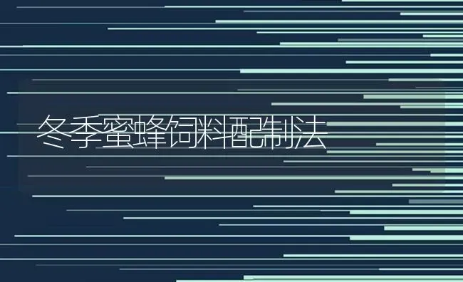 冬季蜜蜂饲料配制法 | 动物养殖饲料