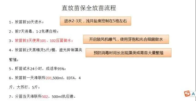 江苏南通如东小棚直放苗保全放苗流程