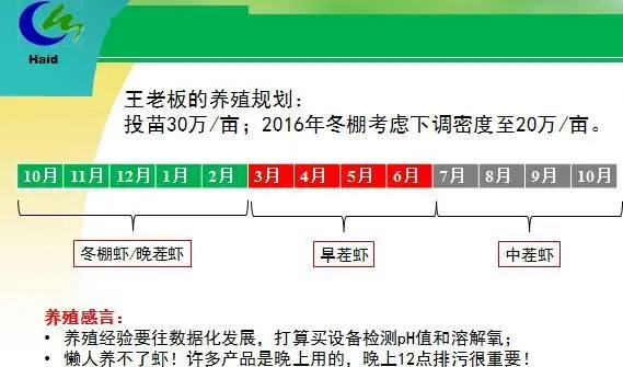 海南海口演丰镇、澄迈县桥头镇冬棚对虾养殖模式分享