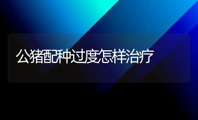公猪配种过度怎样治疗 | 家畜养殖