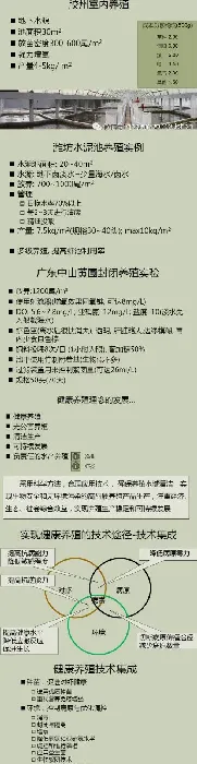 南美白对虾养殖现状、趋势以及健康养殖技术