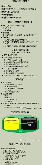 南美白对虾养殖现状、趋势以及健康养殖技术