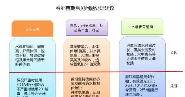 江苏南通如东小棚直放苗保全放苗流程