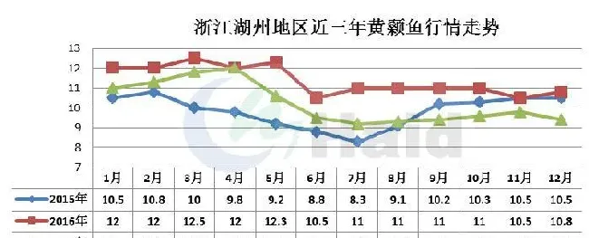 早春黄颡鱼肝肠问题达93.7%，存塘鱼没有你想像中的健康